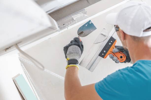 Professional Mold Removal in Elk City, OK